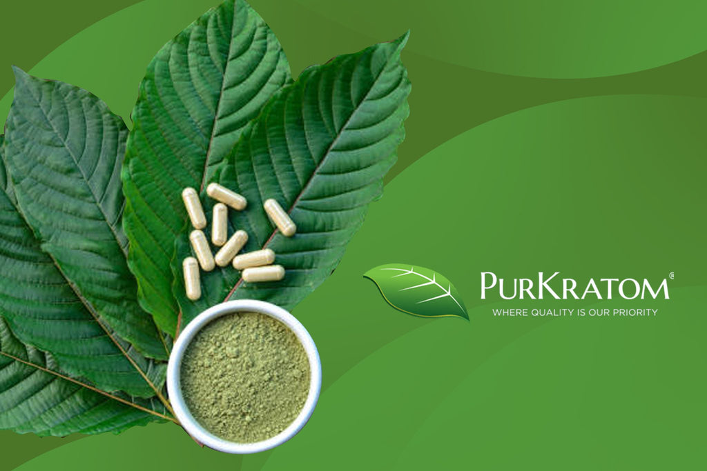 Kratom Strains 101: Learn About the Different Strains