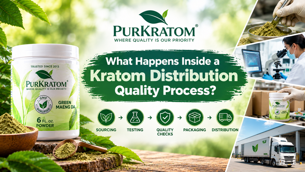 What Happens Inside a Kratom Distribution Quality Process? A Complete Guide
