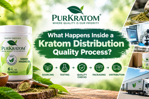 What Happens Inside a Kratom Distribution Quality Process? A Complete Guide