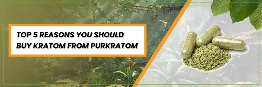 Top 5 Reasons You Should Buy Kratom From PurKratom