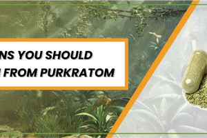 Top 5 Reasons You Should Buy Kratom From PurKratom