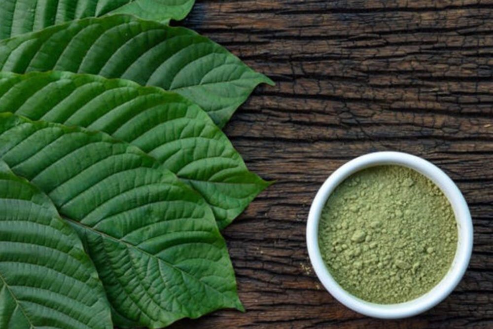 Premium Green Malay Kratom Powder - PurKratom