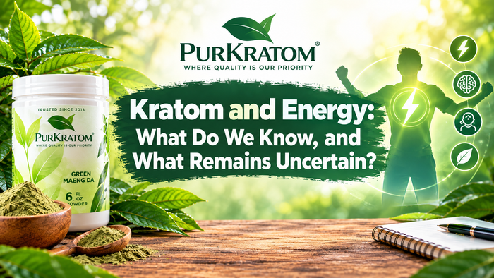 Kratom and Energy: What We Know and What’s Uncertain