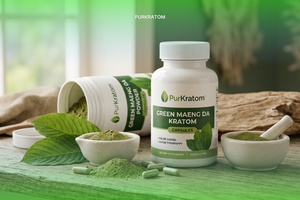 Green Vein Kratom: A Complete Guide to Colors, Alkaloids, Effects & Quality