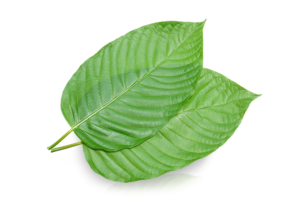 Why You Should Be Buying Your Kratom Online