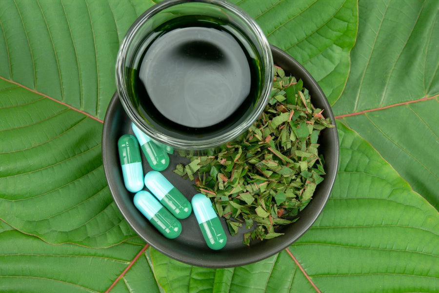 Kratom Leaf vs. Kratom Extract: What's the Difference?